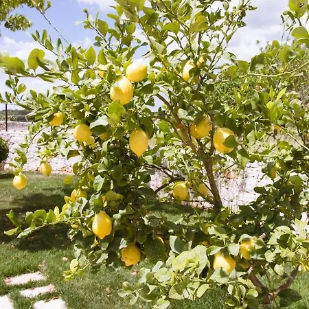 Casa Azzurra Bed & Breakfast Ostuni