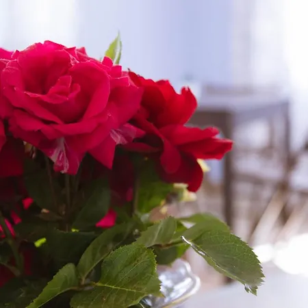 Bed & Breakfast Casa Azzurra *